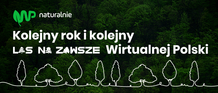 Kolejny las Wirtualnej Polski